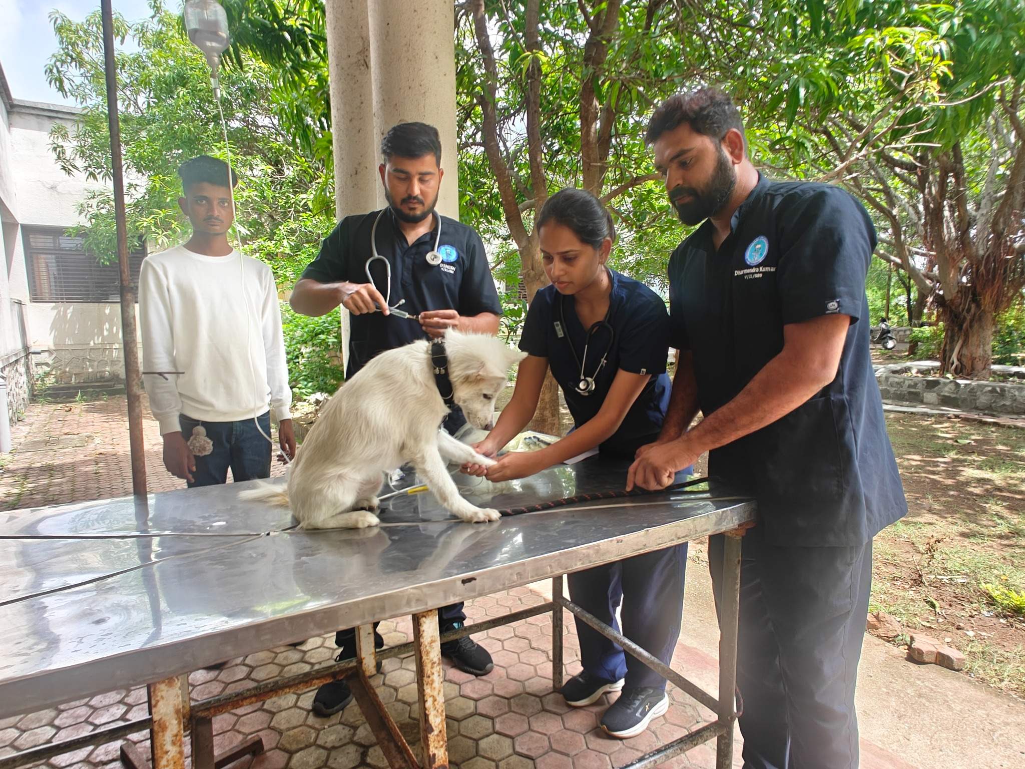 Medicine Veterinary Clinical Complex OPD Ward2